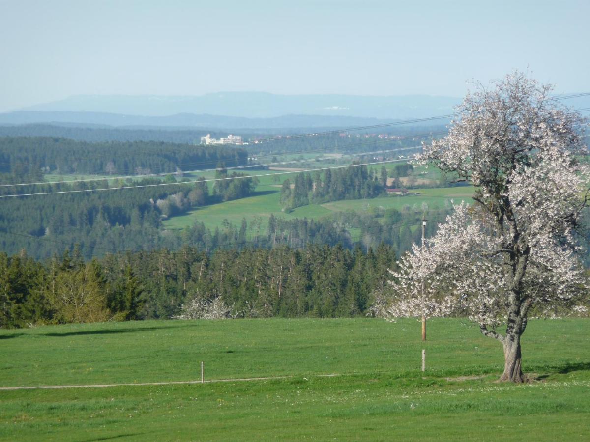 Höhenpension Glashütte Bed&Breakfast Frühstückspension Hotel GARNI Bonndorf im Schwarzwald Exterior foto